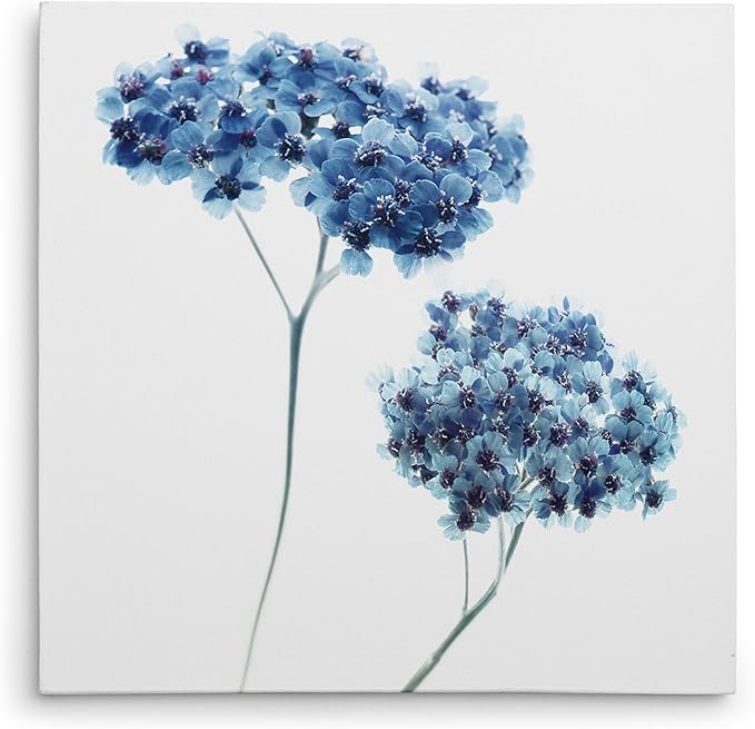 Wexford Home Gorgeous Blue III Gallery Wrapped Canvas Wall Art, 24x24,