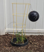 6 Pack of VegSTABLE Rings (Veggies Grow Up, Cages Won't Fall Over). Watering Tomatoes and Vegetables and Anchoring Cages