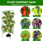 6 Packs Tomato Cages for Garden, 12"×12"×39" Plant Support Cage with Different Spacing, Green Metal Trellis for Climbing Plants Like Cucumber, Flowers