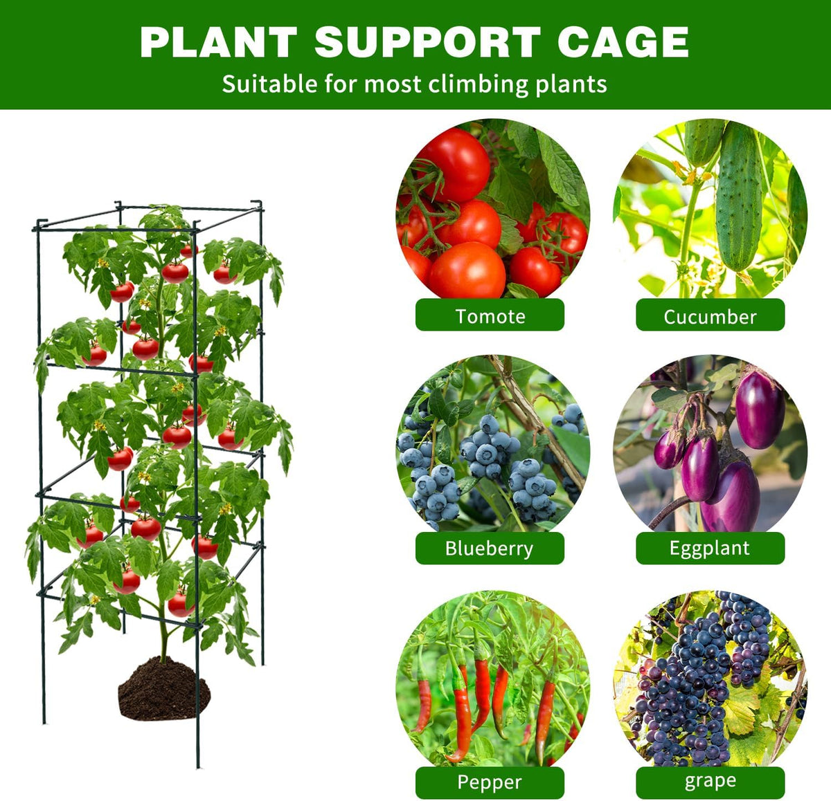 6 Packs Tomato Cages for Garden, 12"×12"×39" Plant Support Cage with Different Spacing, Green Metal Trellis for Climbing Plants Like Cucumber, Flowers