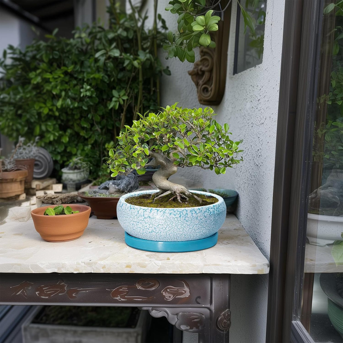 Succulent Pots 8 Inch - Ceramic Bonsai Pots with Drainage Hole and Saucer, Succulent Planters for Indoor Plants Outdoor, Round Shallow Planter Bowl, Porch Decor, Gardening Gifts, Blue