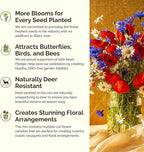 Eden Brothers Vermont Wildflower Mixed Seeds for Planting, 1/4 lb, 120,000+ Seeds with Cosmos, Cornflower | Attracts Pollinators, Plant in Spring or Fall, Zones