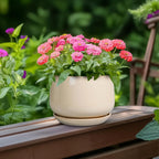 G EPGardening Ceramic Pot for Plants - 6 Inch Planter with Drainage and Ceramic Saucer, Flower Pots for Indoor Plants, Modern Outdoor Planter, Home Decor, Gift for Women Men, Beige