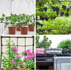 Scrog Net 2x2 Trellis Net for Grow Tent, Elastic Heavy Duty Trellis Netting with Hooks for Indoor Plant Growing Tents, Hydroponics, Trellis for Climbing Plants Outdoor