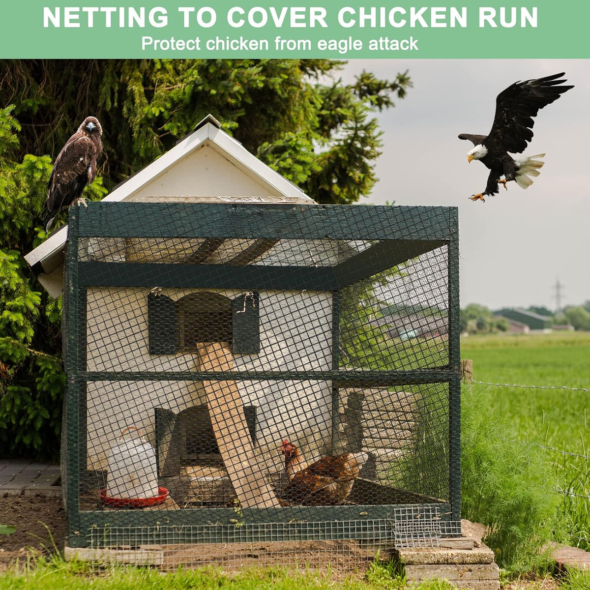 100'x100' Bird Netting for Chicken Coop, Nylon 3/4" Mesh Poultry Netting Chicken Nettings Roof Hawk, Aviary Net Deer Fence Garden Netting for Fruits Trees Plant