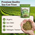 Seedboy Organic Non-GMO Mung Bean Seeds for Sprouting - Microgreens Sprouting Seeds - 8 oz Bag Makes 5 Quarts / 15 Servings (Mung Bean)