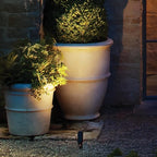 Hinkley Landscape Lighting Hardy Island 1536TMZ-LL Spot Light - 4w MR16 LED Blub Included, 12v - Matte Bronze Clear Lens
