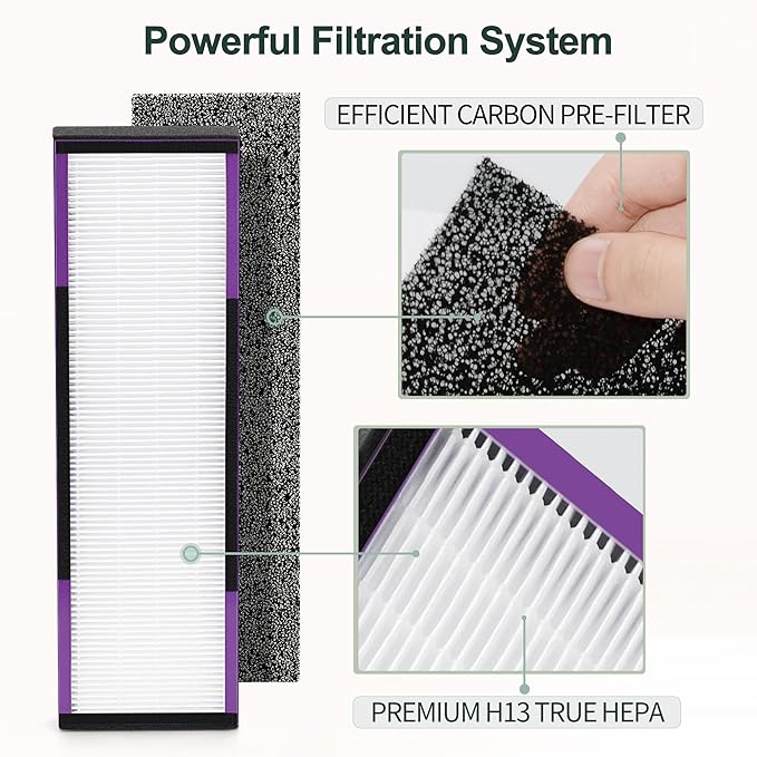 FLT4850PT HEPA Filter B Replacement Compatible with Guardian Technologies Filter B for Models AC4850PT, AC4825, AC4300BPTCA, CDAP4500BCA, AC4820, AC4900 and More, 4x H13 HEPA + 6x Pre-Filters