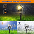 APONUO Solar Spot Lights Outdoor 4-in-1 Solar Landscape Lights Dusk to Dawn Solar Uplights IP65 Waterproof 9.8ft Cable Outdoor Spot Lights for Yard Pathway Garden Tree Decoration (Warm White)