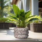 SQOWL Ceramic Flower Pots - 13.5 Inch Plant Pot with Drainage Hole, Large Ceramic Planter for Indoor Plants, Round Modern Planter Outdoor, Porch Home House Decor, Plant Lover Gifts, White