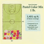 Ferry-Morse Pastel Color Mix Bulk Flower Seeds, 1lb