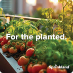 Sprinkland® 1/2" Drip Irrigation Adapter | Made in USA | Fits Faucet/Garden Hose | Compatible with .600" ID x .700" OD and 5/8" Drip Tube | 3-Pack