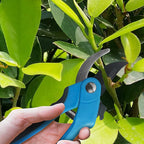 Nevlers 8" Blue Bypass Pruning Shears Heavy Duty | Ergonomic Plant Shears & Floral Scissors w/Steel Blades & Safe Lock | 8mm Cut Garden Clippers Handheld Pruning Scissors for Flower Stems & Branches