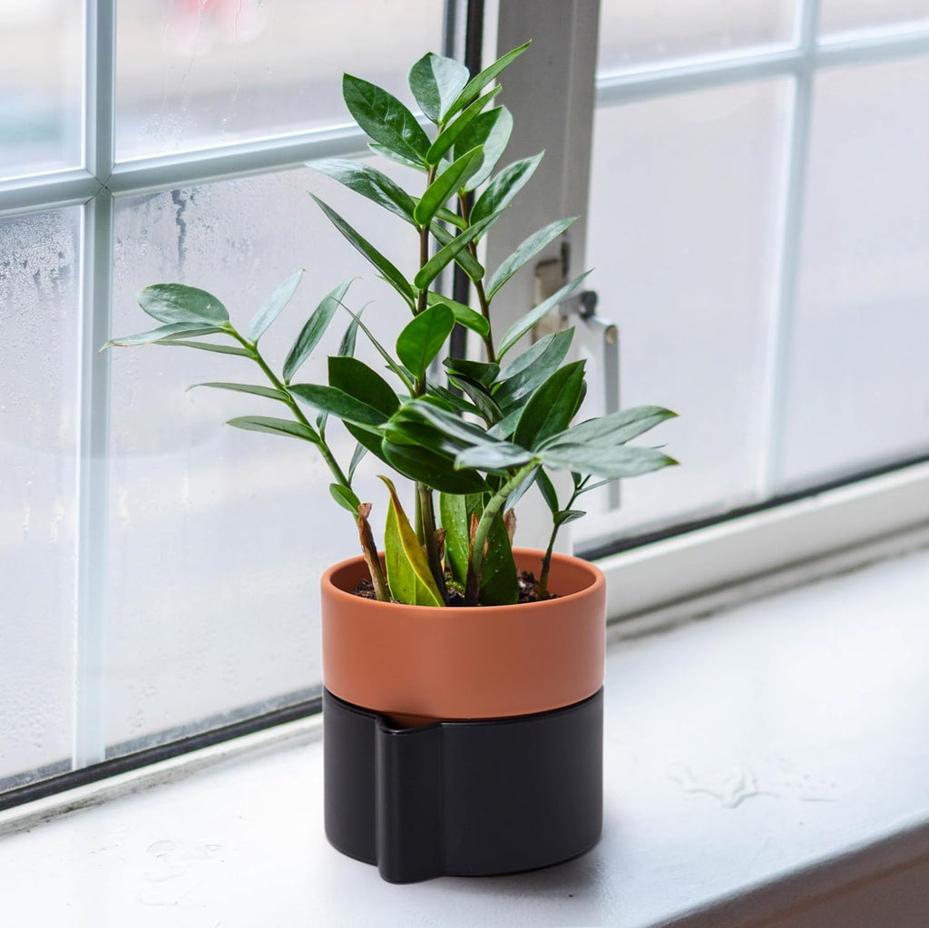 6.5 Inch Self-Watering Planter Pot with Terracotta Insert, Deep Water Reservoir, and Ceramic-Alike BPA-Free Plastic Pot for Plant, Modern Planter for Houseplants, Black/Terracotta, 53-B-S-5