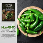 Jalapeño Pepper Seeds for Planting | Hot Heirloom Non-GMO Peppers for Pickling & Salsas – Survival Garden Seeds (3 Packs)