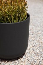 Veradek Round Black Plastic Planter Pots for Indoor/Outdoor Garden Use, with Drainage Holes, Suitable for Small to Large Succulent Plants, Flowers, Modern Interior Plants