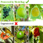Morcheiong 60Pcs Protection Bags 6" x 8", Reusable Netting for Fruit Trees, Garden Mesh With Drawstring (Green)