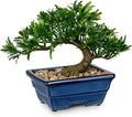 Artificial Bonsai Tree Faux Plants Indoor Small Fake Plants Decor with Blue Ceramic Pots for Home Table Office Desk Bathroom Shelf Bedroom Living Room Farmhouse Decorations
