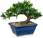 Artificial Bonsai Tree Faux Plants Indoor Small Fake Plants Decor with Blue Ceramic Pots for Home Table Office Desk Bathroom Shelf Bedroom Living Room Farmhouse Decorations