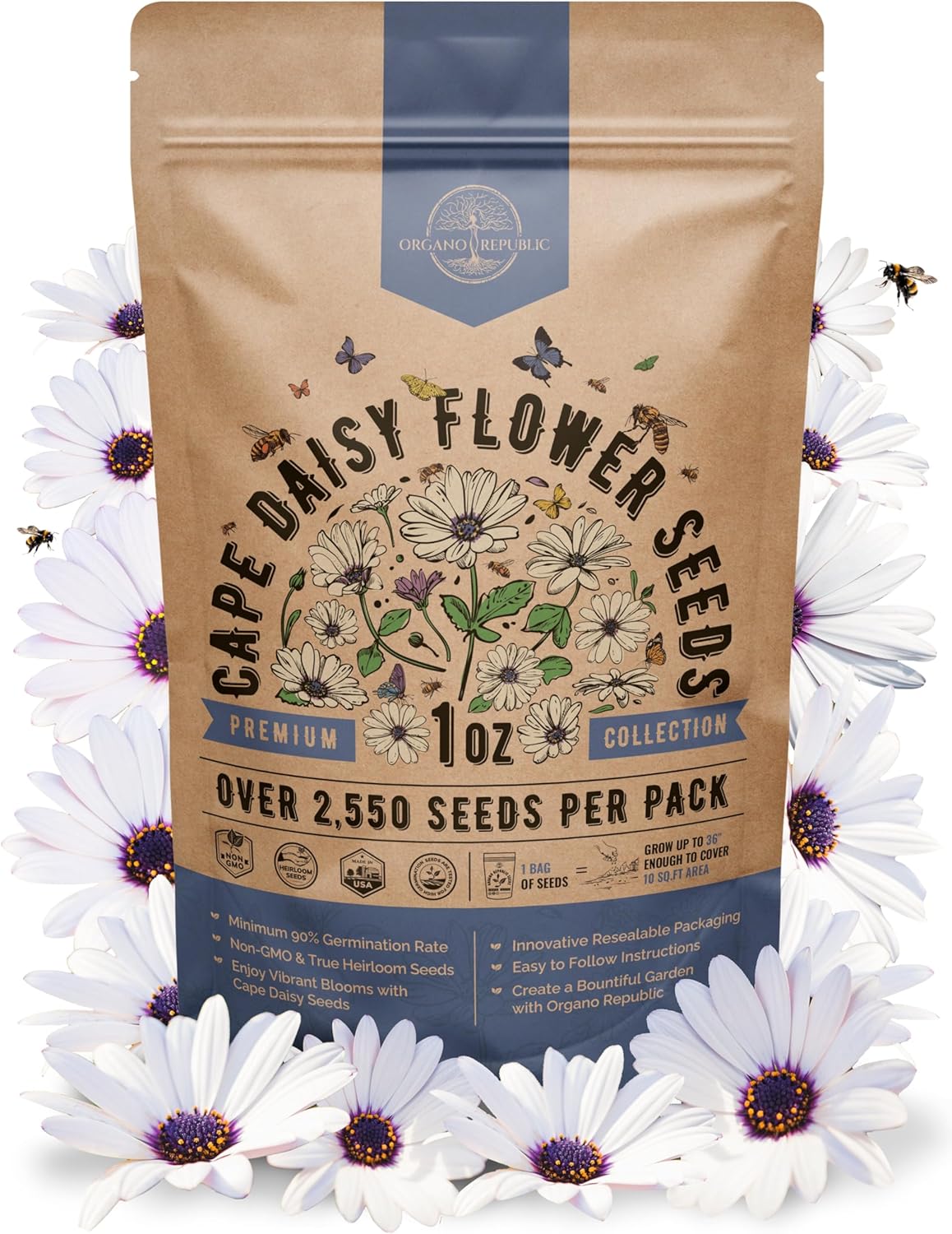 Cape Daisy Flower Seeds Pack 1 oz - Over 2,550 Non-GMO Heirloom Cape Daisy Seeds for Planting, Perennial Flowers in Individual Seed Packet, Seed for Planting Home Garden Indoor & Outdoor Gardening