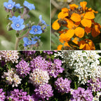 Ferry-Morse Knee-High Mix Bulk Wildflower Seeds, 1lb