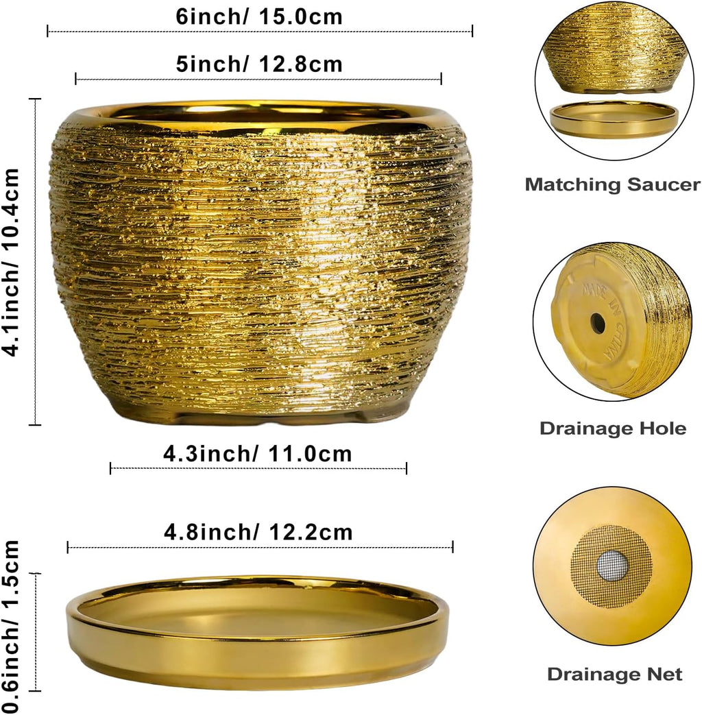 SQOWL Ceramic Planter - 6 Inch Plant Pot Indoor Outdoor, Modern Round Planter with Drainage Hole and Plant Saucer, Decorative Small Flower Pot, Home Decor, Birthday Gifts, Gold