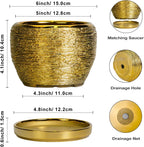 SQOWL Ceramic Planter - 6 Inch Plant Pot Indoor Outdoor, Modern Round Planter with Drainage Hole and Plant Saucer, Decorative Small Flower Pot, Home Decor, Birthday Gifts, Gold
