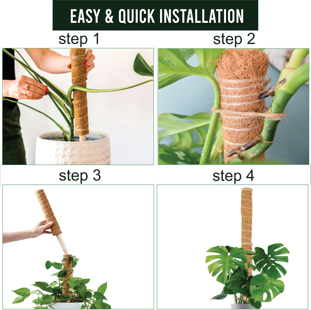 Moss Pole Pack of 4 – 50CM Monstera Plant Support | Natural Coco Coir Plant Poles for Indoor Plants | Extendable Moss Sticks for Climbing Plants, Pothos & Philodendron