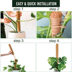 Moss Pole Pack of 4 – 50CM Monstera Plant Support | Natural Coco Coir Plant Poles for Indoor Plants | Extendable Moss Sticks for Climbing Plants, Pothos & Philodendron