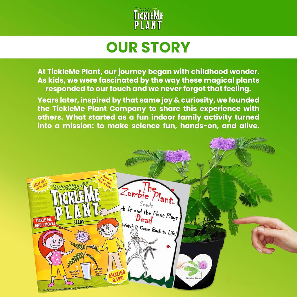 Zombie Plant Seed Packets – Grow a Live Sensitive Plant That Plays Dead When Touched! Indoor Plant Seeds & Educational STEM Activity | House Plant Seeds | Unique Garden Seeds – 2 Pack