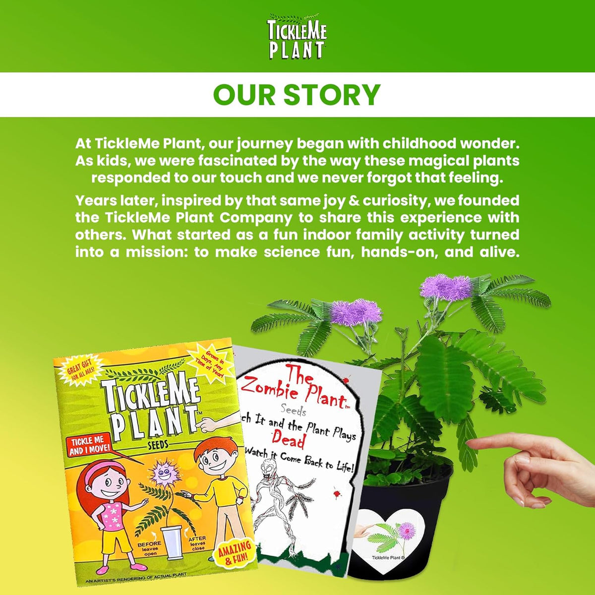 Zombie Plant Seed Packets – Grow a Live Sensitive Plant That Plays Dead When Touched! Indoor Plant Seeds & Educational STEM Activity | House Plant Seeds | Unique Garden Seeds – 2 Pack