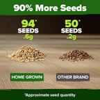 HOME GROWN 𝗨𝗦𝗔 𝗣𝗥𝗘𝗠𝗜𝗨𝗠 Banana Pepper Seeds Pack – 94 𝗡𝗢𝗡-𝗚𝗠𝗢 Heirloom Vegetable Seeds – High Germination Sweet Peppers for Planting Indoors or Outdoor Garden (Capsicum annuum) (1pack)