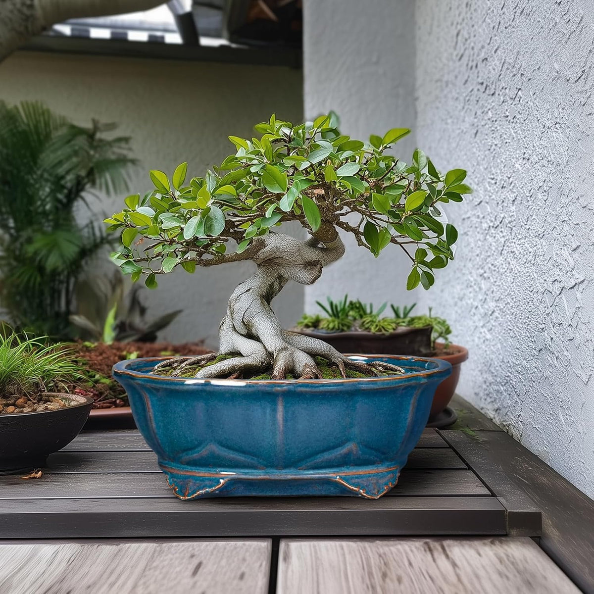 Bonsai Pots - 13.2 Inch Oval Ceramic Pots for Plants, Large Succulent Planter with Drainage Hole, Decorative Planters for Indoor Outdoor, Garden House Decor, Housewarming Gifts, Retro Blue