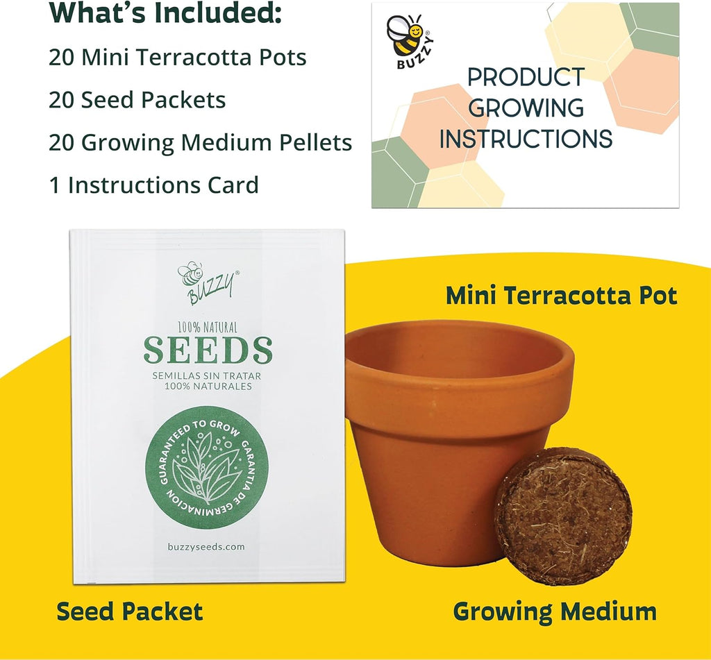 BUZZY Seeds Gardening Kits|Sunflower Seeds to Plant|Flower Starter Kit for Kids & Adults|Terracotta Mini Grow Pots|Bulk 20 Pack|Guaranteed to Grow|Wedding Favors|Teachers Gift