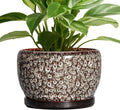 SQOWL Ceramic Planter - 8 inch Plant Pot Indoor with Drainage Hole and Plant Saucer, Round Ceramic Flower Pots Outdoor, Decorative Modern Planter, Office Kitchen Decor, Gifts for Women Men, White