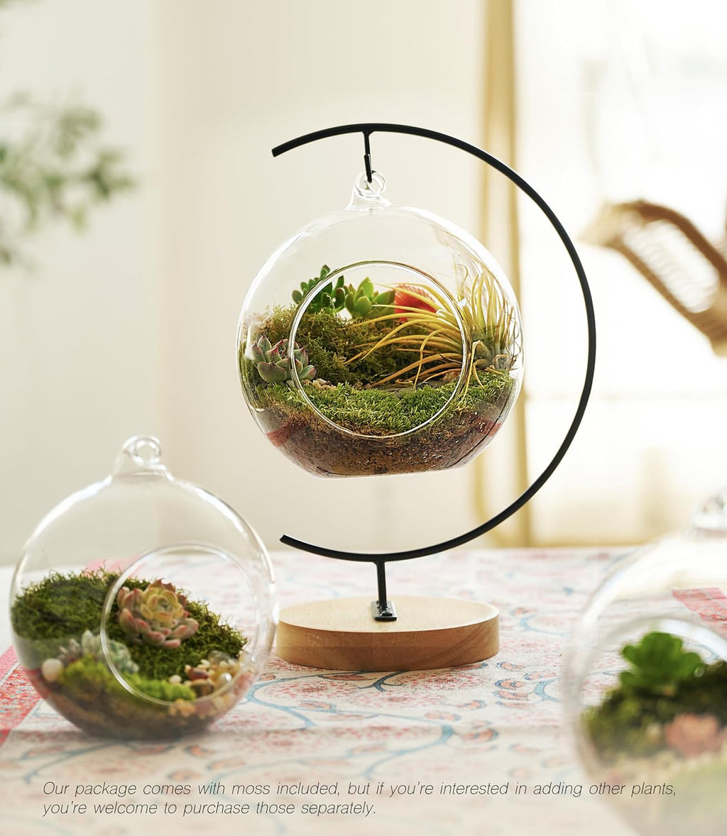 15-Piece Terrarium Kit with Live Moss – DIY Glass Globe Set with Tools, Soil, Stones & Spray Bottle – Indoor Mini Garden Gift for Plant Lovers, Home Decor & Zen Craft