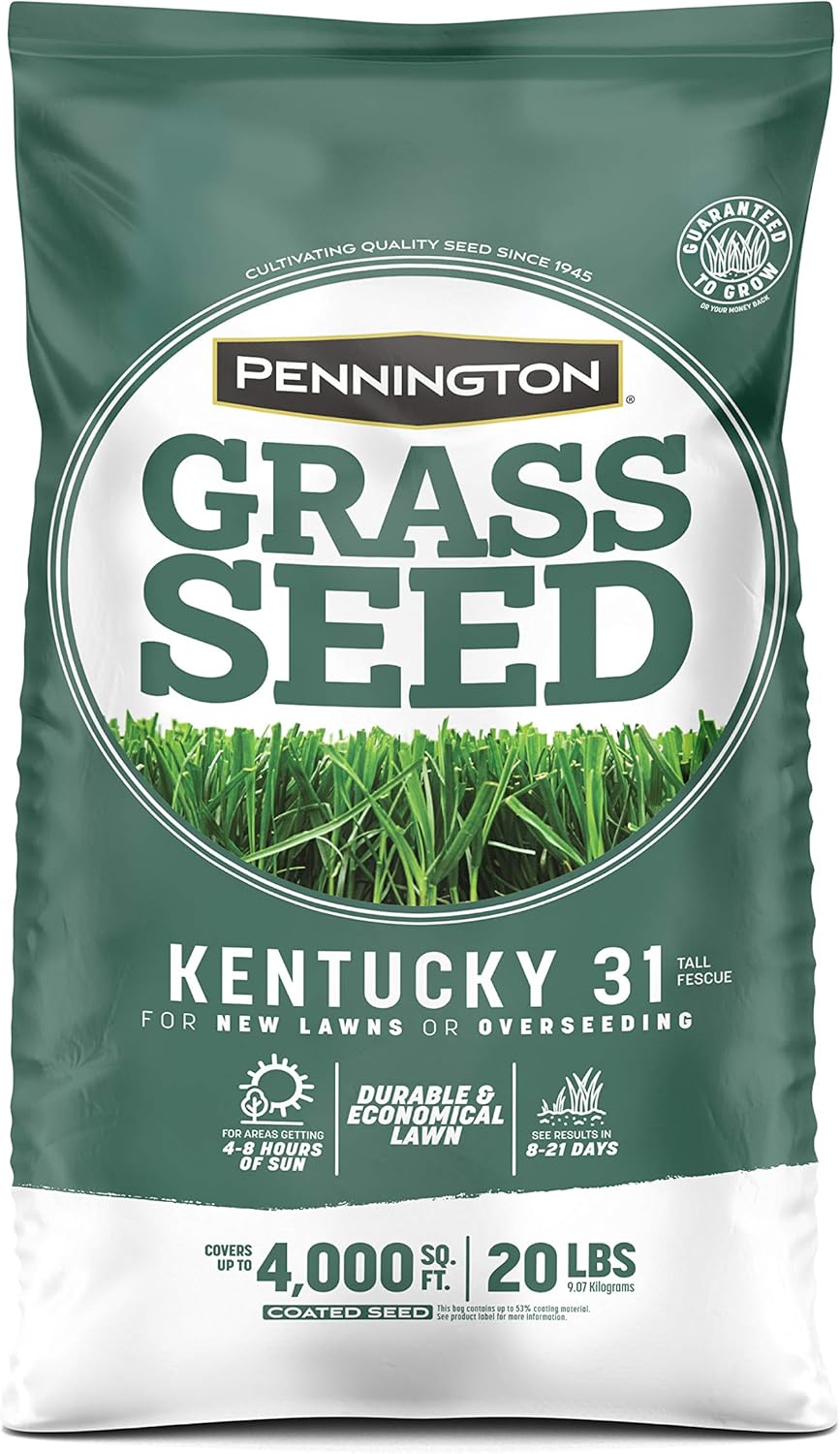 Pennington Kentucky 31 Tall Fescue Grass Seed 20 lb