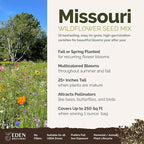 Eden Brothers Missouri Wildflower Mixed Seeds for Planting, 1 oz, 30,000+ Seeds with Lupine, Coreopsis | Attracts Pollinators, Plant in Spring or Fall, Zones