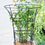 COOOXIM Peony Cages & Supports - Metal Plant Obelisk Trellis for Outdoor Use, 27.5 x 22 Inches, Perfect for Peonies, Roses, and Climbing Vines - Durable Garden Support Ring in M Shape