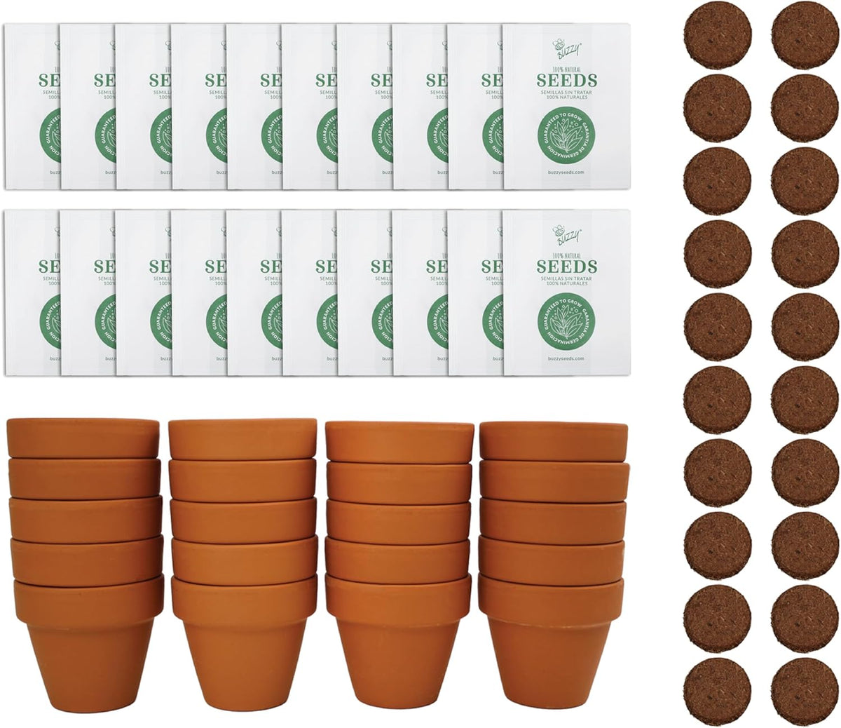 BUZZY Seeds Spruce Terracotta Mini Grow Pots – Indoor Tree Starter Kit Bulk 20-Pack – DIY Planting Kit – Grow Mini Spruce Trees for Gardening, Classroom Projects, Crafts, Gifts & Earth Day