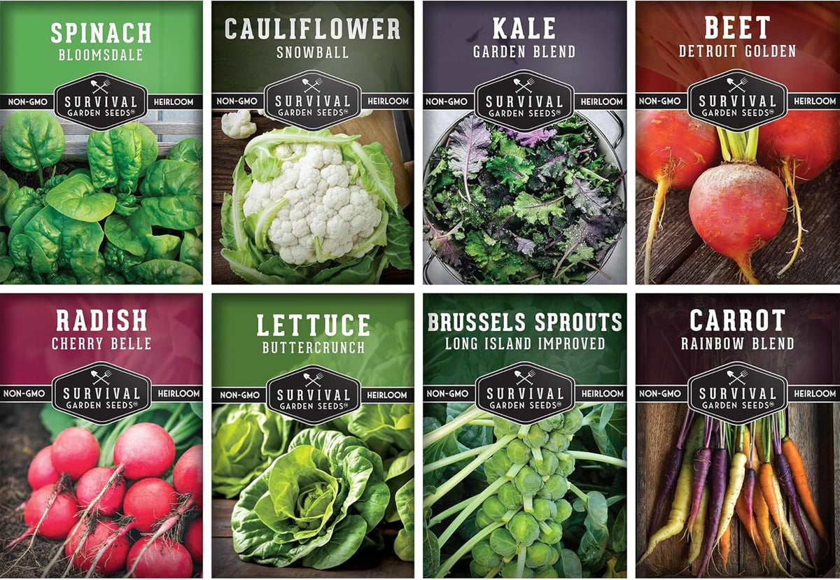 Fall & Winter Vegetable Seed Collection – 8 Packs of Non-GMO Heirloom Seeds for Planting Vegetables | Autumn & Indoor Gardening Seed Pack – Survival Garden Seeds