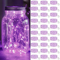 kolpop 30 Pack LED Fairy Lights Battery Operated, 7FT 20 LED Mini Twinkle String Lights Battery Powered Waterproof for Christmas Halloween Mason Jars Party (Purple)
