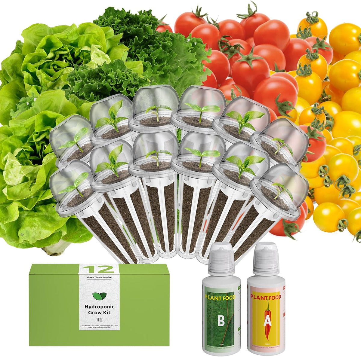 inbloom Organic Salad Seed Pod Kit for AeroGarden, Ahopegarden Hydroponics Growing System,Low-Calorie Food, 12-Pods (350+ Seeds, Include Fast and Butter Lettuce, Red Cherry and Golden Cherry Tomato)