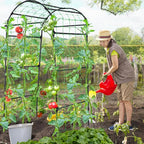 Garden Arch Cucumber Trellis for Climbing Plants Outdoor, 6.7ft Tall Archway Arbor Plant Support Grape Vine Tomato Pea Bean Trellis for Raised Bed Backyard, Black