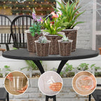 60 Pack 3.5/4/5/6/7 Inch Clear Nursery Pots with Drainage Hole,Variety Sizes Seed Starting Pots Transparent Plastic Plant Pots for Plants Transparency with 50 Plant Labels