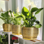 SQOWL Ceramic Planter for Indoor Plants - 10 Inch Plant Pot with Drainage Hole and Saucer, Modern Round Planter Outdoor, Large Decorative Flower Pot, Apartment Decor, Birthday Gifts, Gold