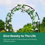 Metal Pergola Arbor, 100" H x 45" W Garden Arch Archway for Wedding Ceremony Party Curved Iron Plants Trellis Stand Use for Outdoor Garden Climbing Plants