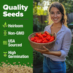 HOME GROWN San Marzano Tomato Seeds – 132 Heirloom, 𝗡𝗢𝗡-𝗚𝗠𝗢, 𝗨𝗦𝗔-𝗦𝗢𝗨𝗥𝗖𝗘𝗗 Seeds – High Germination Tomatoes for Indoor & Outdoor Growing – Classic Paste Variety for Gardeners & Home Use