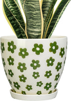 8.2 Inch Plant Pot - Ceramic Flower Pot Indoor with Drainage Hole and Saucer, Boho Round Decorative Planter for Indoor Plants, Housewarming Gifts, Office Garden Home Room Decor, White