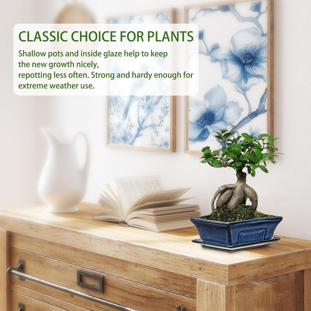 Ceramic Bonsai Pots with Drainage Tray Set of 2, 6 Inch Blue Glazed Bonsai Planters for Indoor/Outdoor Use, Shallow Rectangular Bonzai Tree Pots for Succulent, Orchids, Cacti, Home, Patio, Garden